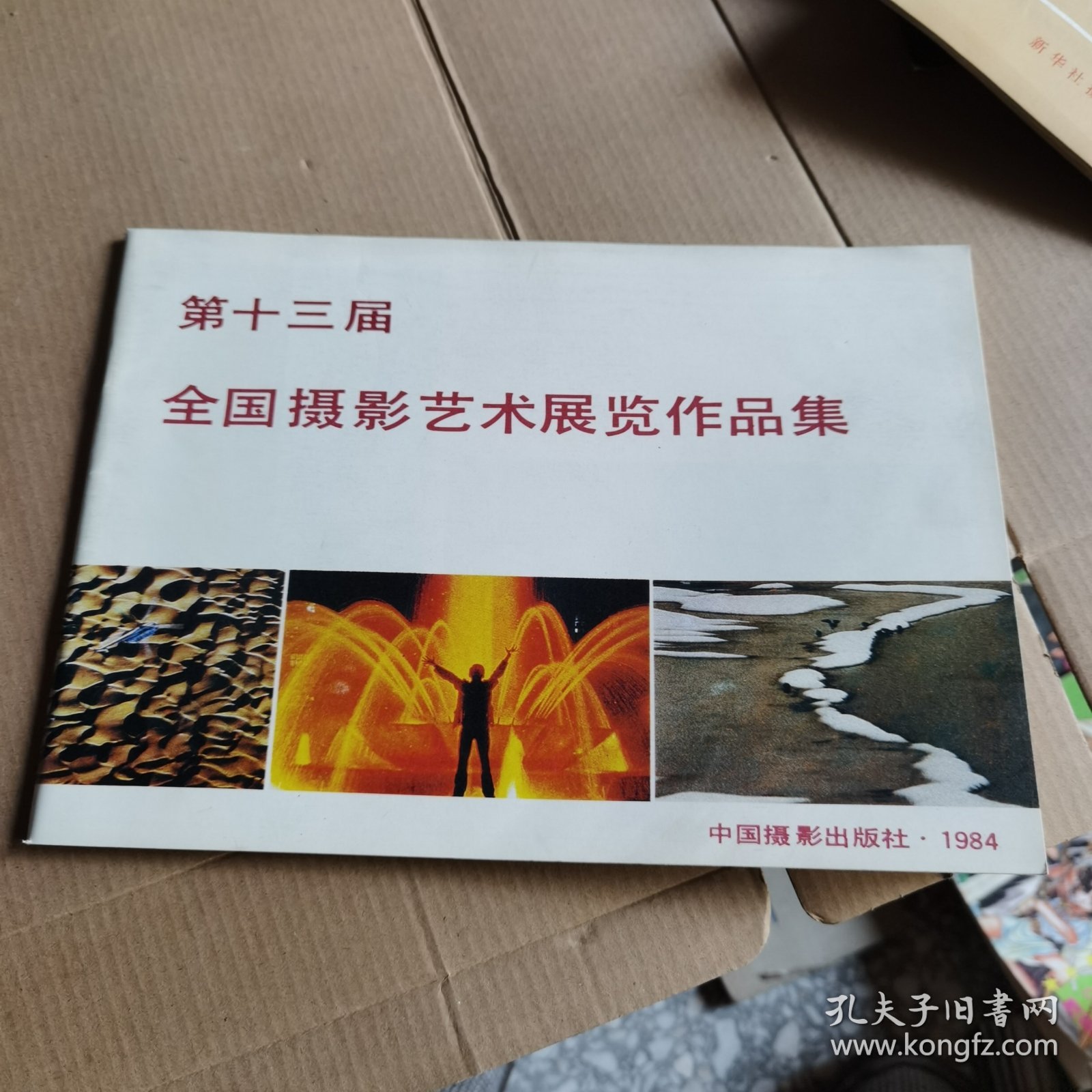 第十三届全国摄影艺术展览作品集