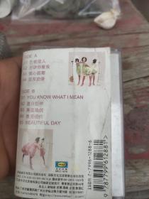 twins进化论磁带有歌词仅开封成色新