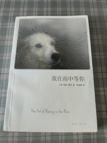 我在雨中等你