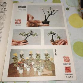 大众花卉1982年创刊号