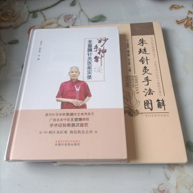 妙手神针:王登旗针灸医案实录 朱琏针灸手法图解