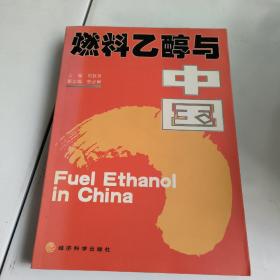燃料乙醇与中国