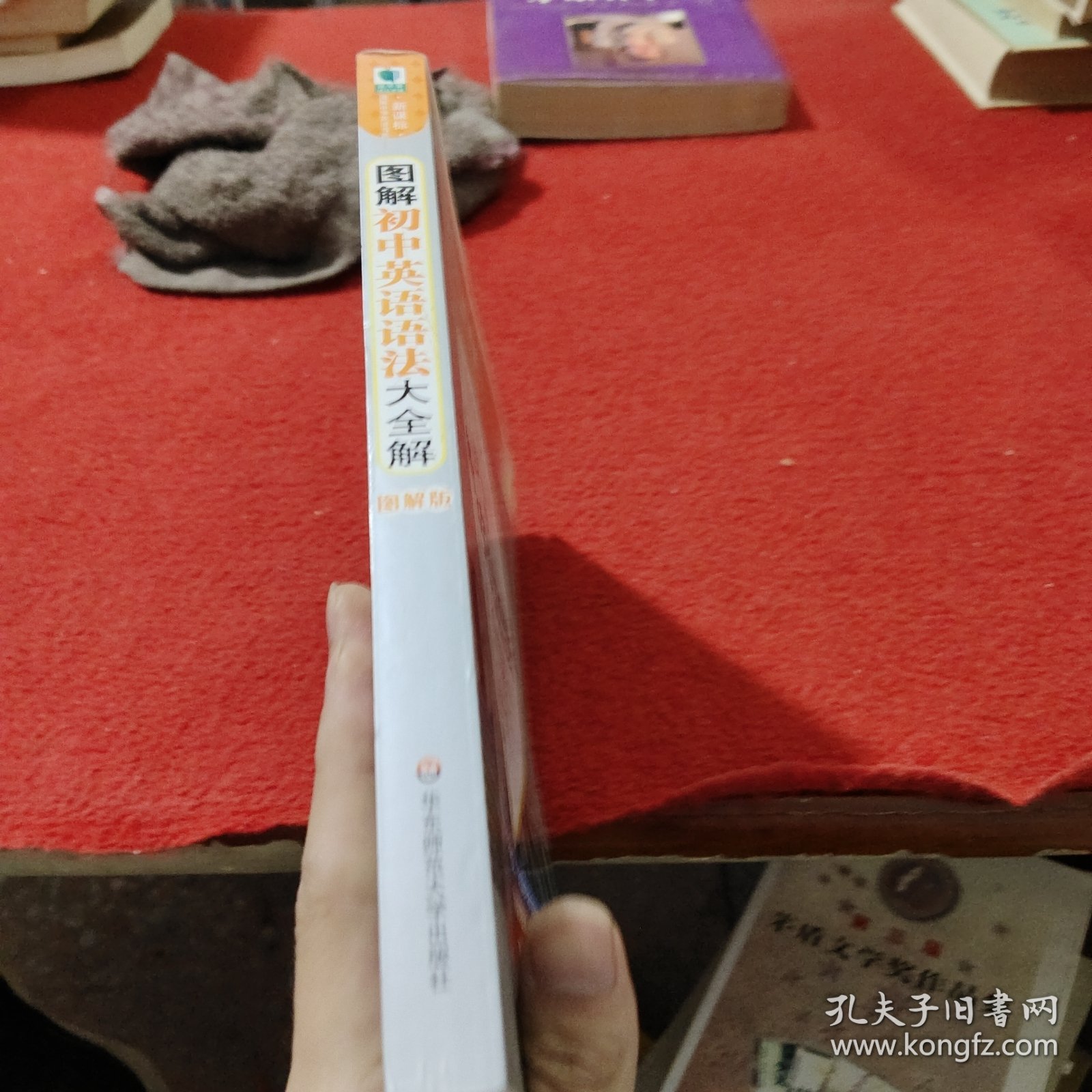 青苹果精品学辅·新课标图解中学英语书系：图解初中英语语法大全解（图解版）