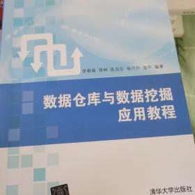 数据仓库与数据挖掘应用教程/21世纪高等学校电子商务专业规划教材