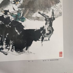 1979年老年画挂历名家画作（王雪涛黄胄程十发钟质夫赵梦朱等名家作品）