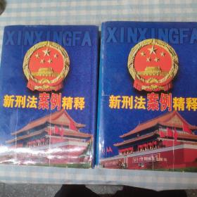 新刑法案例精释（上下）