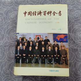 中国经济百科全书（上册）
