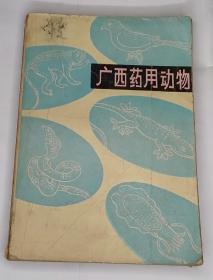 （21，12，17）广西药用动物，林吕何，广西人民出版社。医学书买时需谨慎一律不退货，希望买家理解。有不清楚的请事先咨询。