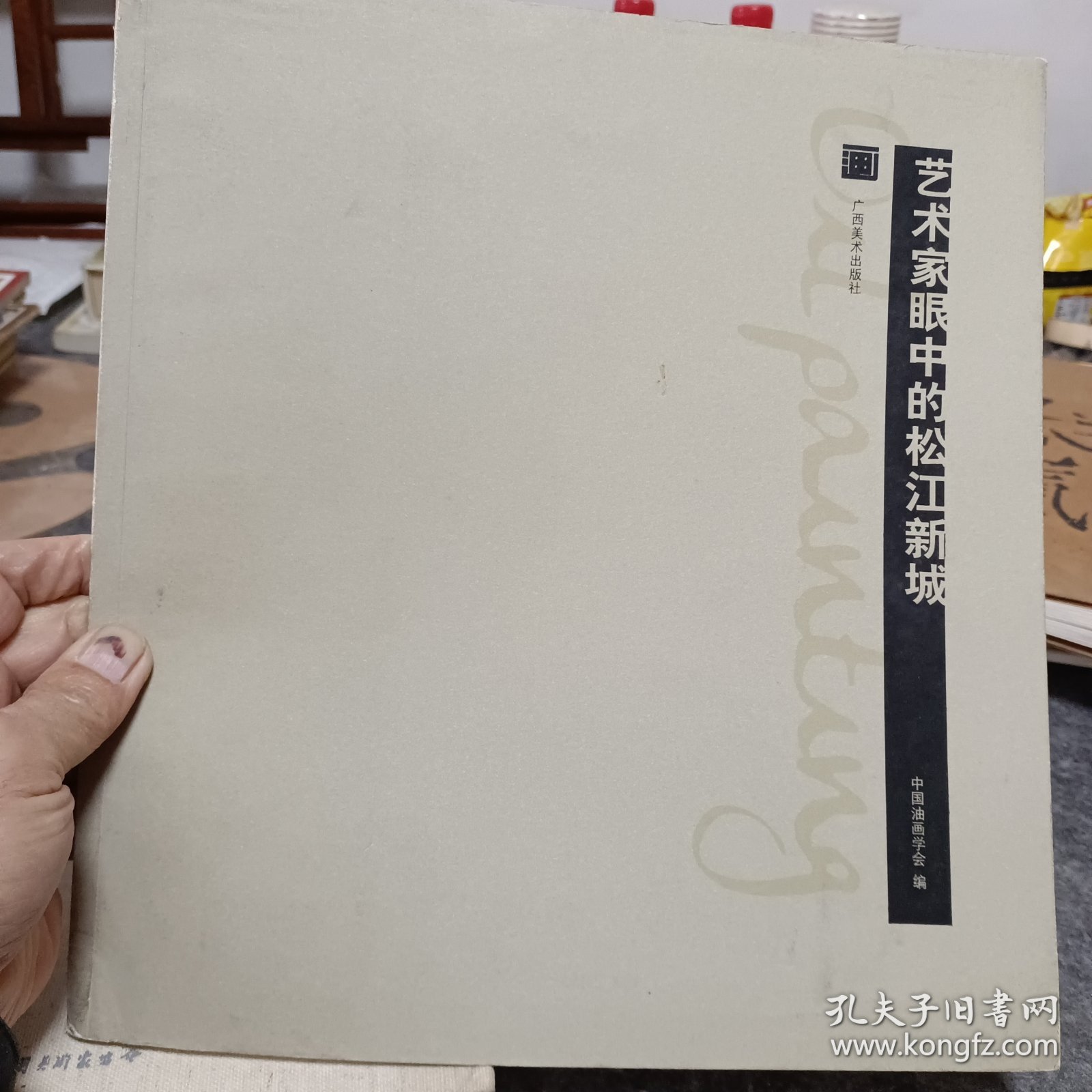 艺术家眼中的松江新城