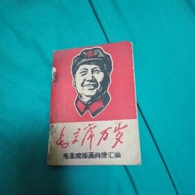 毛主席万岁毛主席叛画肖像汇编