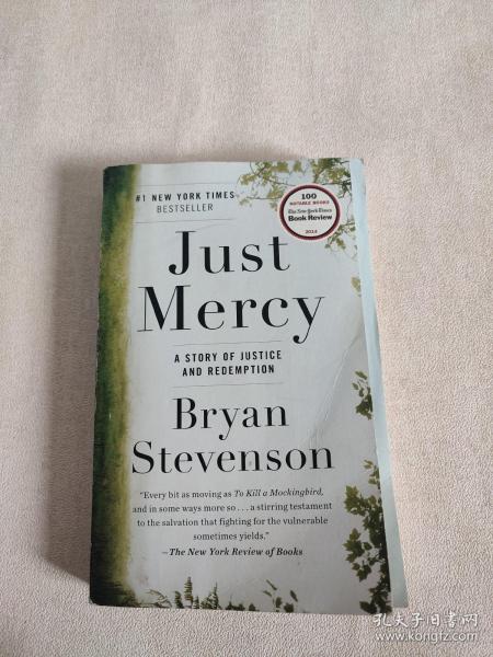 Just Mercy  A Story of Justice and Redemption