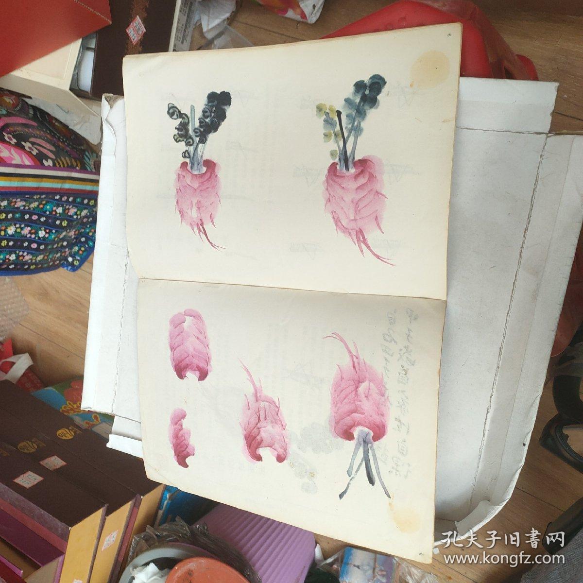 怎样画桃萝卜柿子荔枝