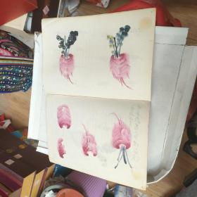 怎样画桃萝卜柿子荔枝