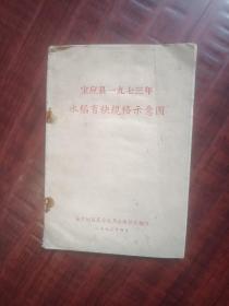宝应县1973年水稻育秧规格示意图