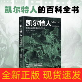 暗黑历史书系：凯尔特人 外国历史 ［英］马丁·j.多尔蒂