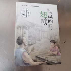 中国当代儿童小说大系：风的翅膀