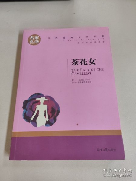 茶花女 中小学生课外阅读书籍世界经典文学名著青少年儿童文学读物故事书名家名译原汁原味读原著