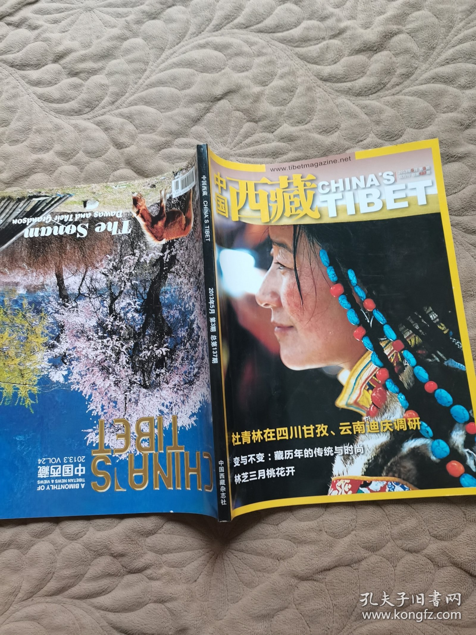 中国西藏2013.5 杜青林调研