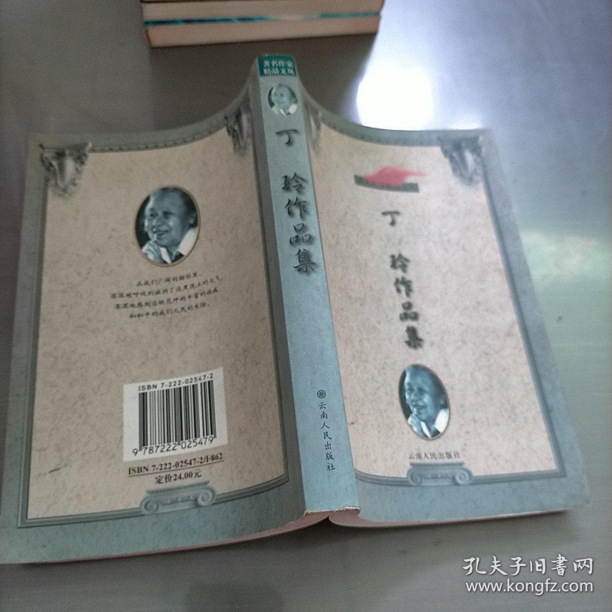 丁玲作品集：著名作家精品文丛