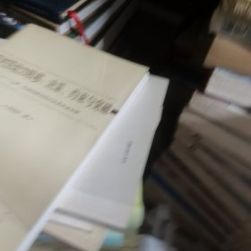 农村劳动力转移：决策、约束与突破:“三重”约束的理论范式及其实证分析