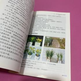 农作物营养失调症原色图谱