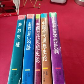 李泽厚十年集 五册合售