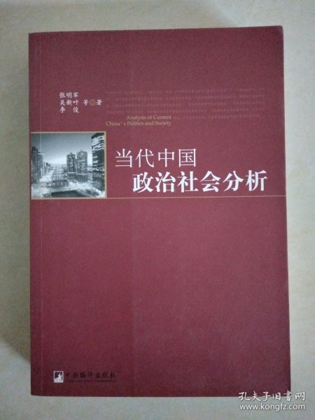 当代中国政治社会分析