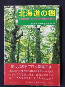 日文 北海道の樹