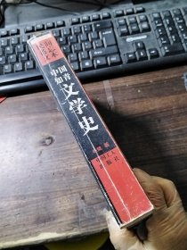 中国知青文学史