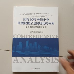 国有民营外资企业重要数据全景简明比较分析