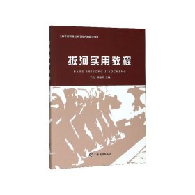 正版新书现货 拔河实用教程 9787532654574 平杰