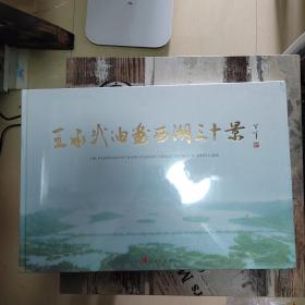 王承武油画西湖三十景