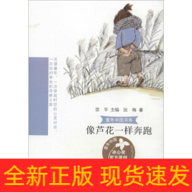 像芦花一样奔跑