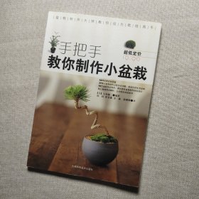 手把手教你制作小盆栽