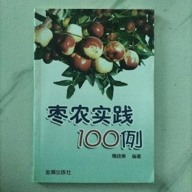 枣农实践100例