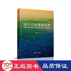 国土空间规划 建筑设计 吴志强