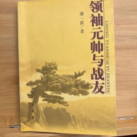 领袖元帅与战友