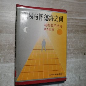 周易与怀德海之间 场有哲学序论（精装）