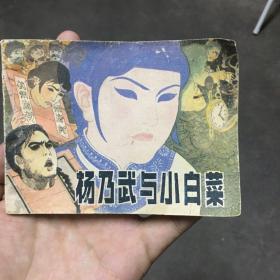 杨乃武与小白菜连环画