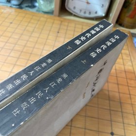 中国现代史稿（上下册）
