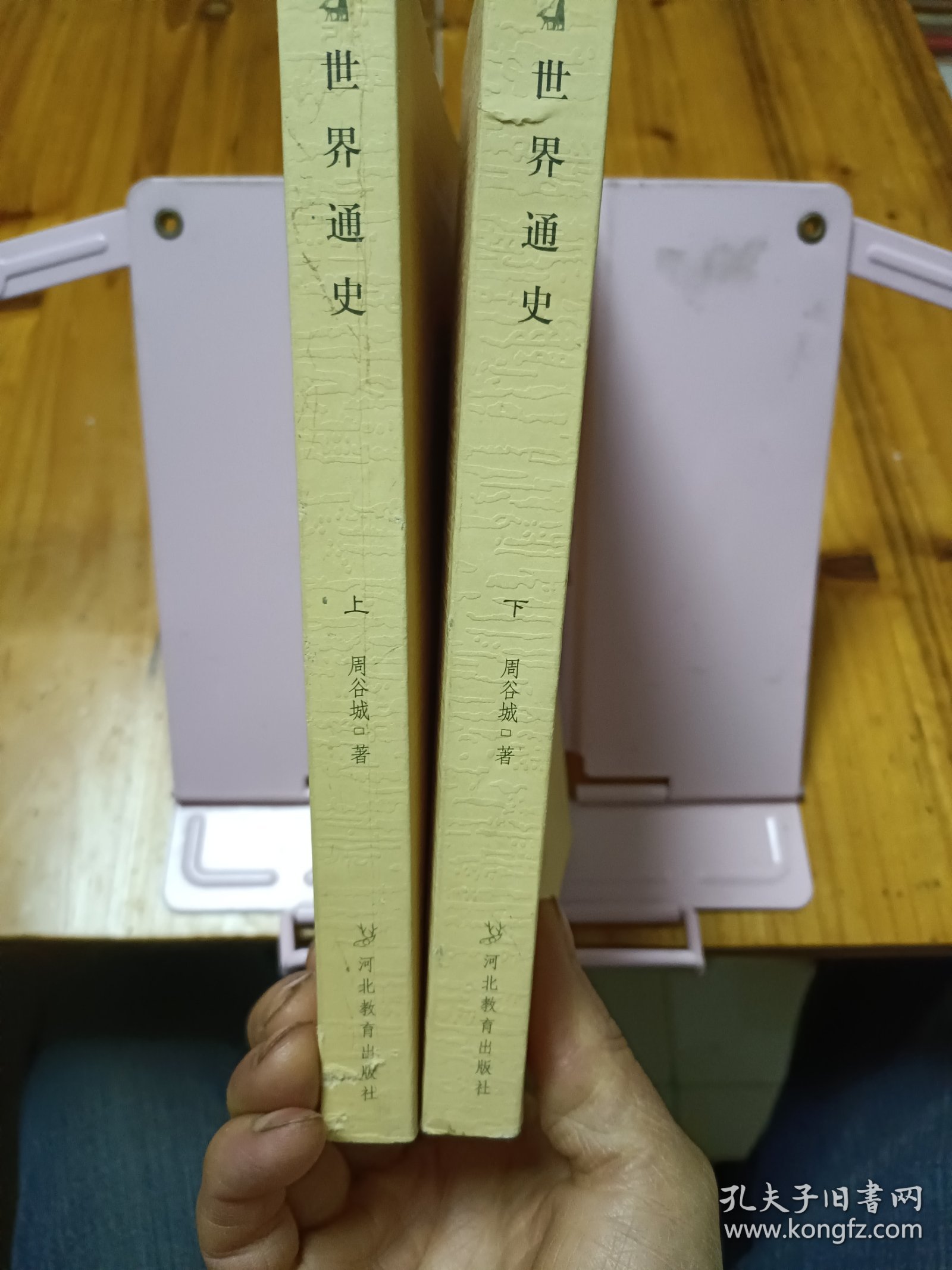 二十世纪中国史学名著 世界通史（上下）