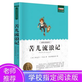 苦儿流浪记 廉东星 9787510011047