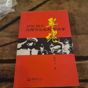 警魂:大阳沟派出所的故事