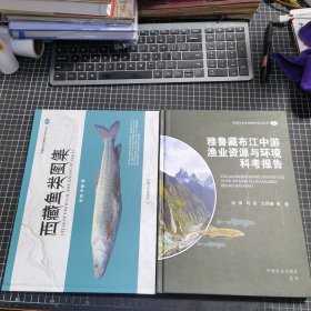 西藏水生生物保护系列丛书西藏鱼类图集 雅鲁藏布江中游渔业资源与环境科考报告两本合售