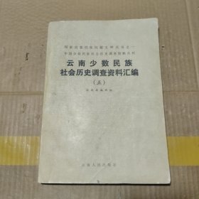 云南少数民族社会历史调查资料汇编 五