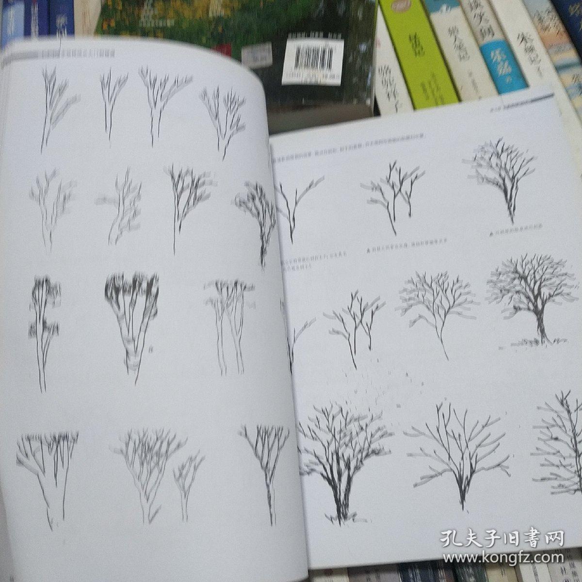 景观设计手绘技法从入门到精通