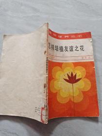 怎样培植友谊之花