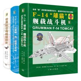 视觉历史：F-14“雄猫”舰载战斗机、FA-18“大黄蜂”和“超级大黄蜂”、世界航空母舰极简史