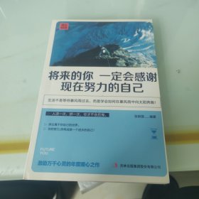 励志人生之奋斗崛起季共10册 战胜自己方法总比困难多 社会交际心理学职场沟通 成功学辅导 财商和情商课励志书籍