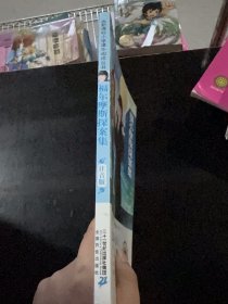 新课标小学课外阅读丛书第五辑  